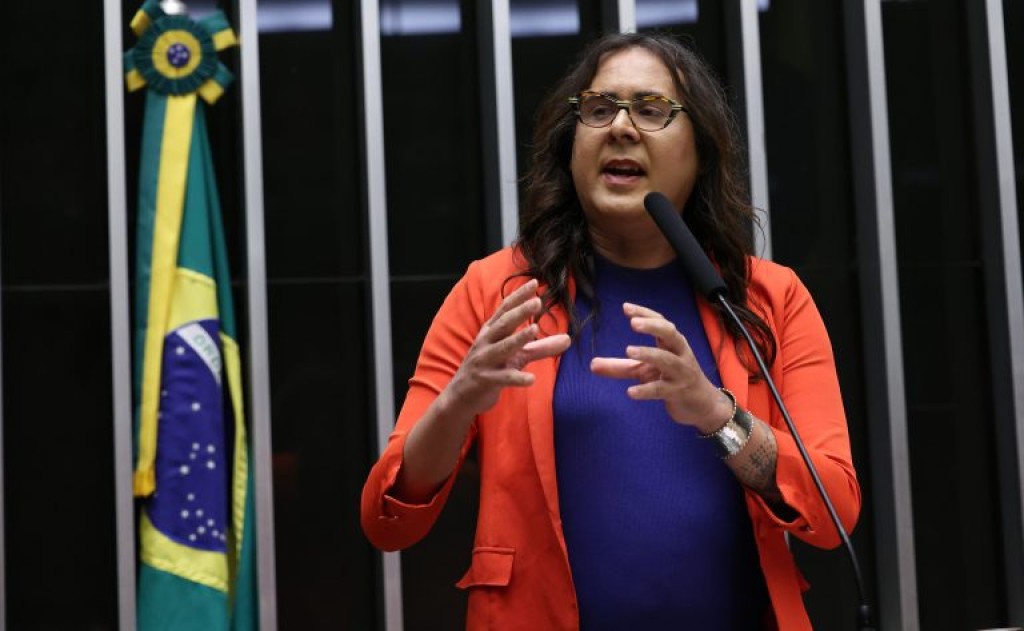 Câmara aprova plano nacional para reduzir atropelamentos de animais silvestres em estradas